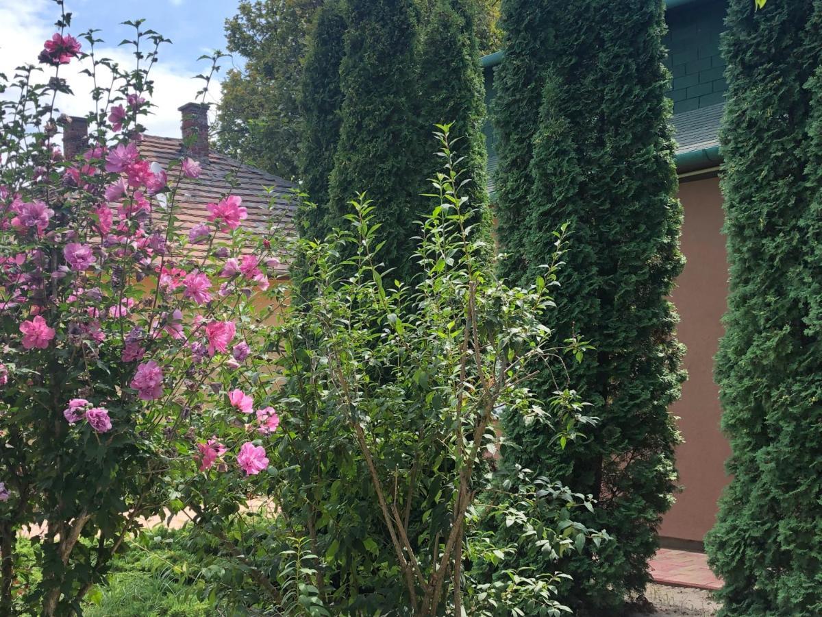 Villa Casa Mia Balatonlelle Dış mekan fotoğraf